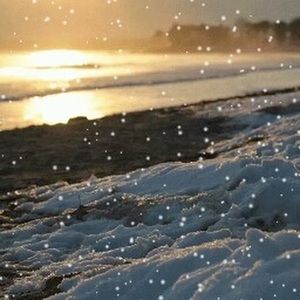 Meet your Posher, Marilyn